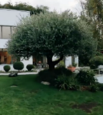 Villa Garden 7-9.png